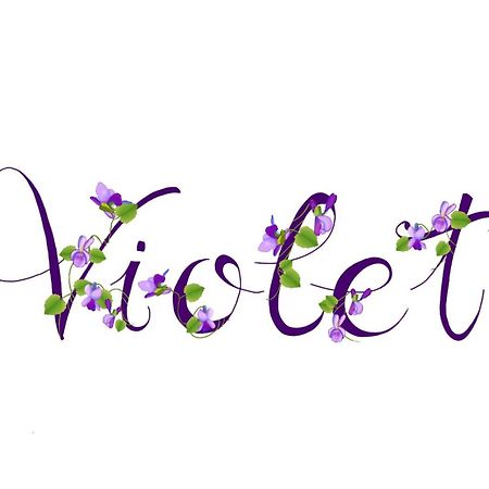 Appartamento Violet - Parma Exterior photo